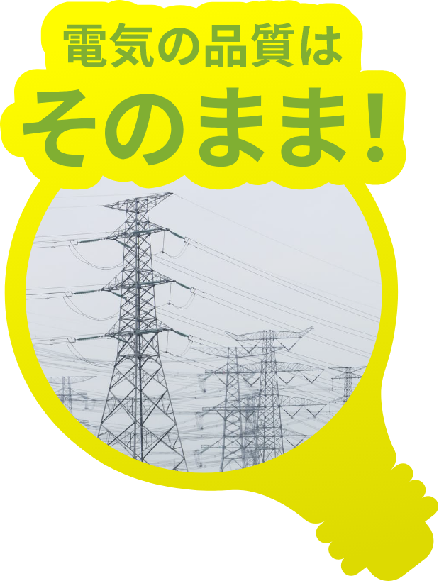 電気代がお得